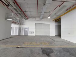 Ct Foodnex (D25), Factory #472596421